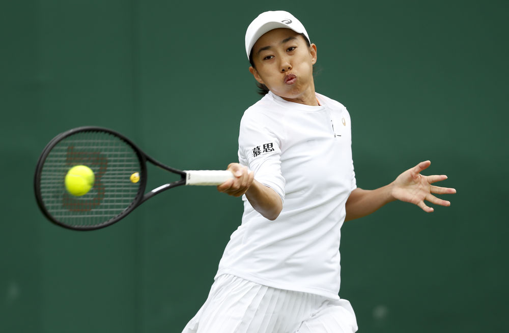 破百迅速掌 破百迅速掌