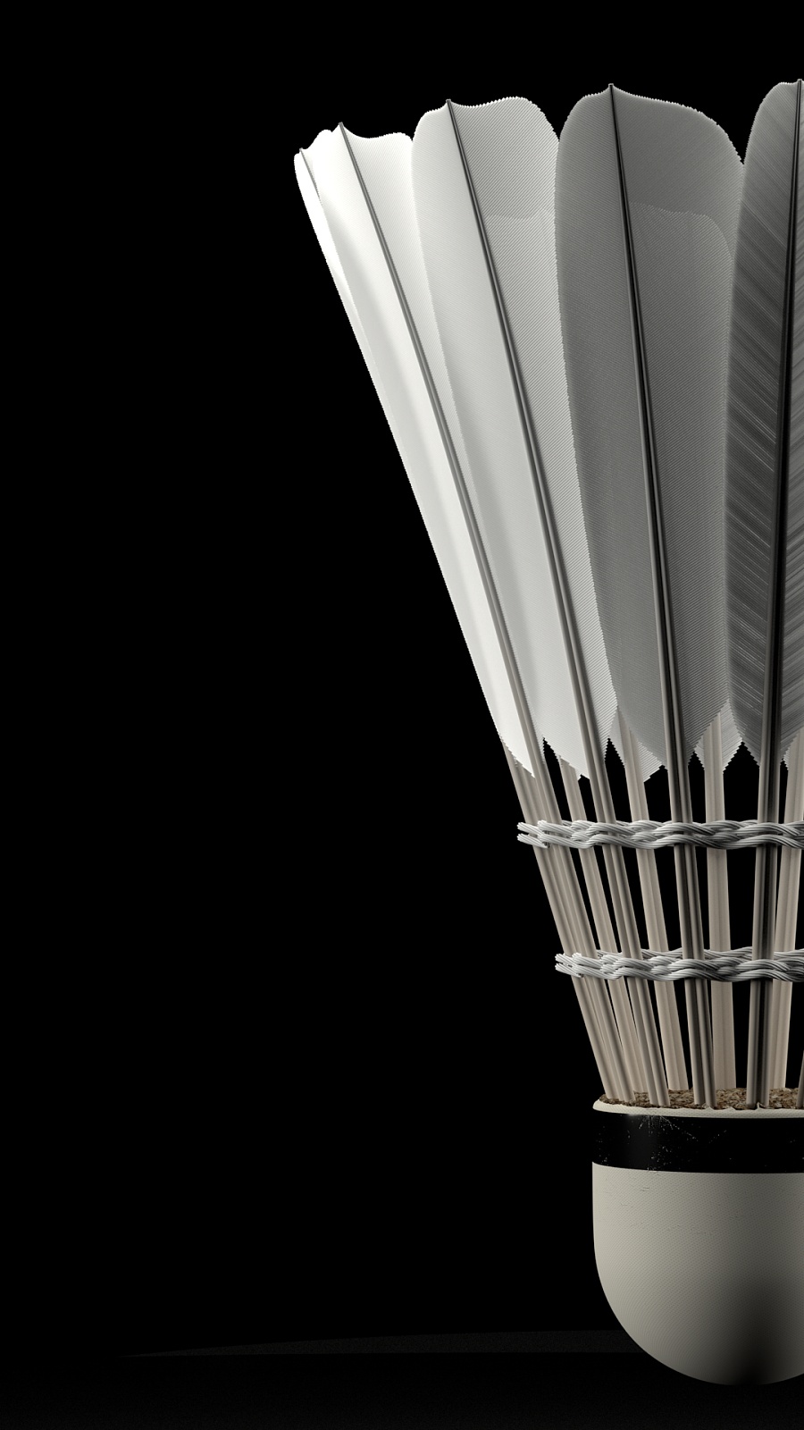 球精准地落 球精准地落