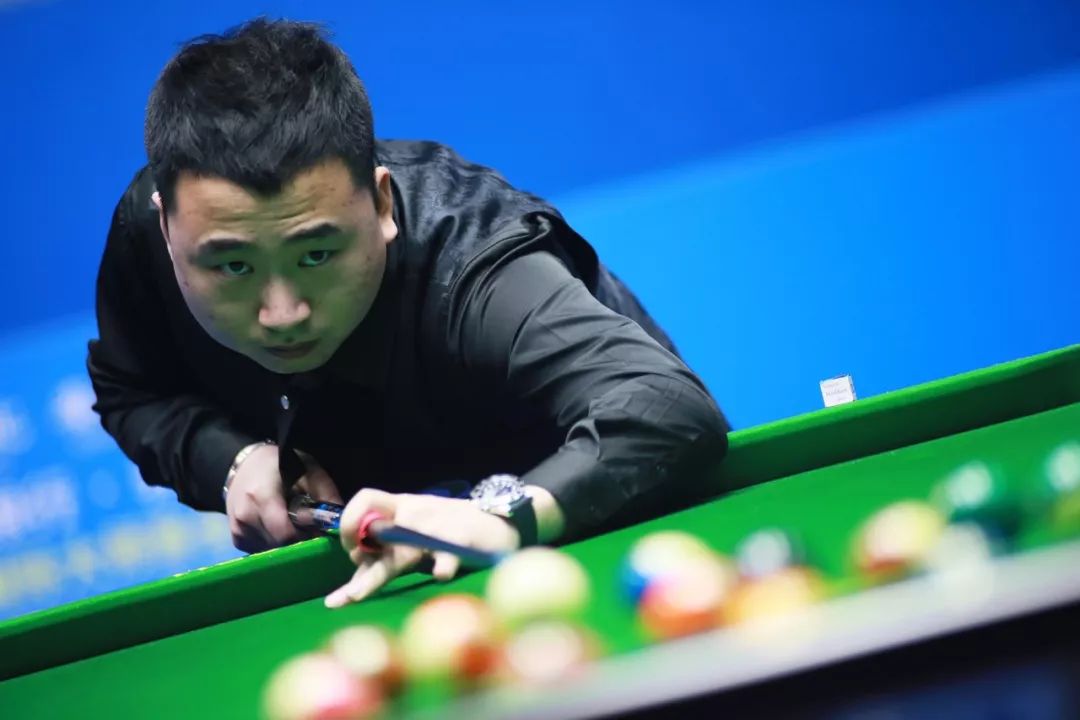 性和适应性 性和适应性